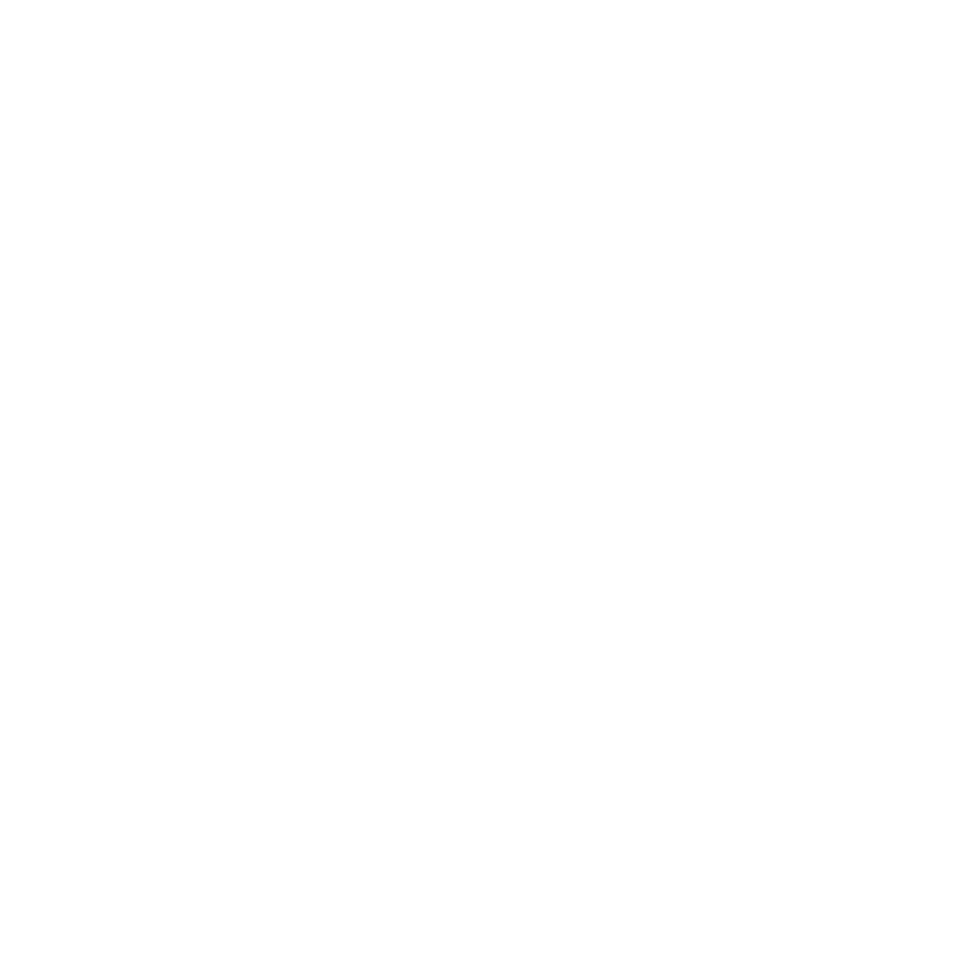 Ecommerce-SEO