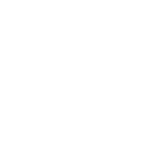 Enterprise-SEO