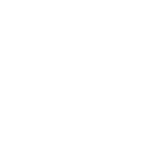 Website-Audit